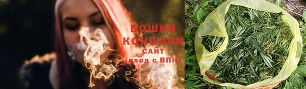 спайс Покачи