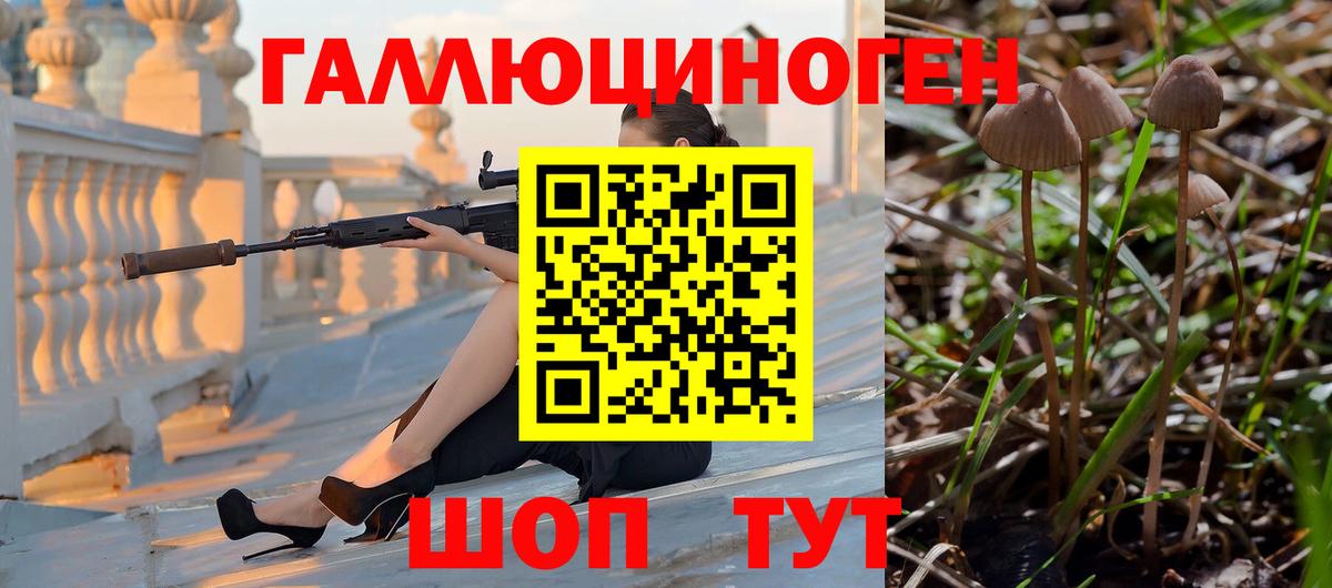 Шарыпово  Галлюциногенные грибы мицелий  Вход с VPN 